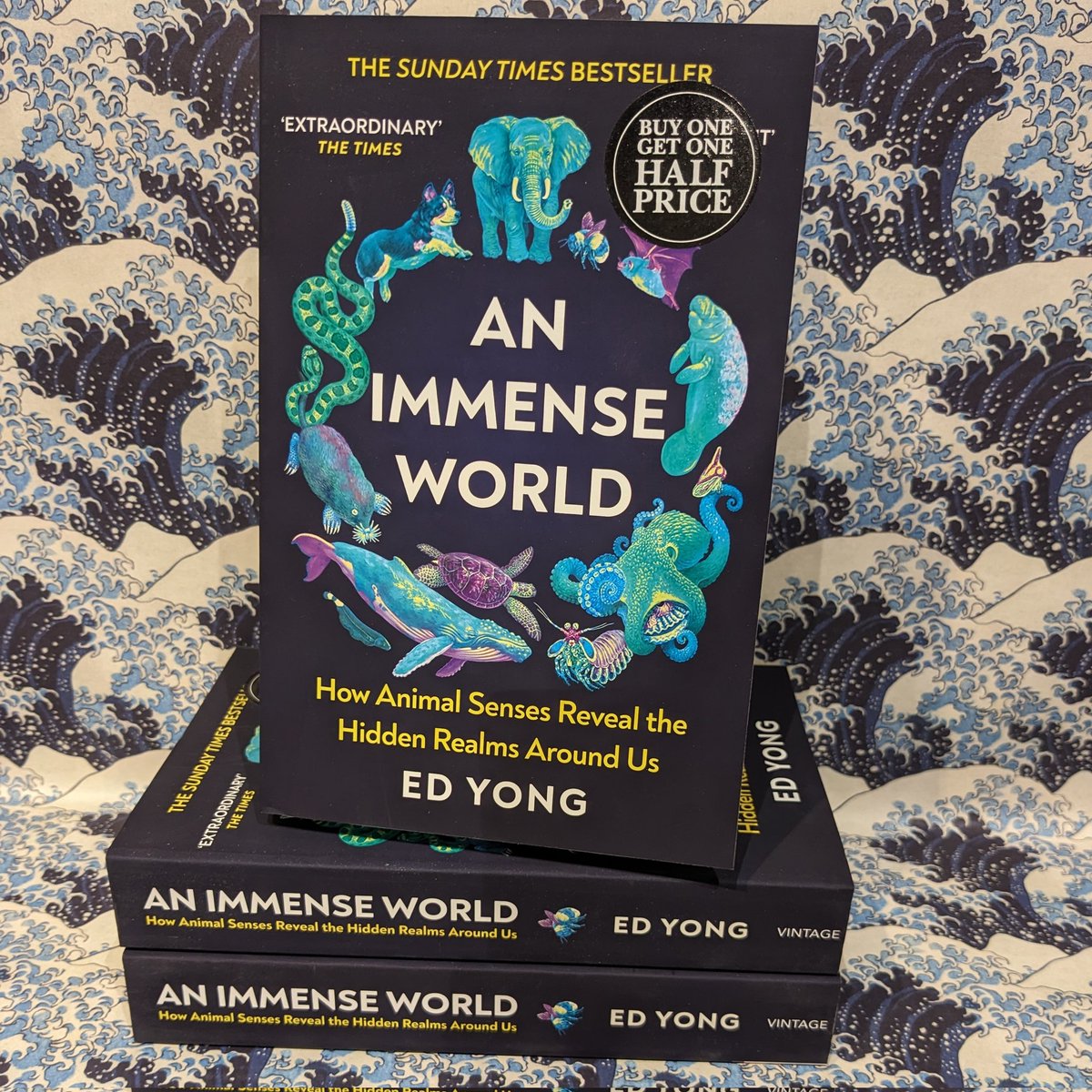 Our Non-fiction Book of the Month, An Immense World, is a  sensory revelation as we see, hear, smell, touch and taste the world through its many creatures and their unique ways of experiencing the world.

Vividly written and utterly fascinating.