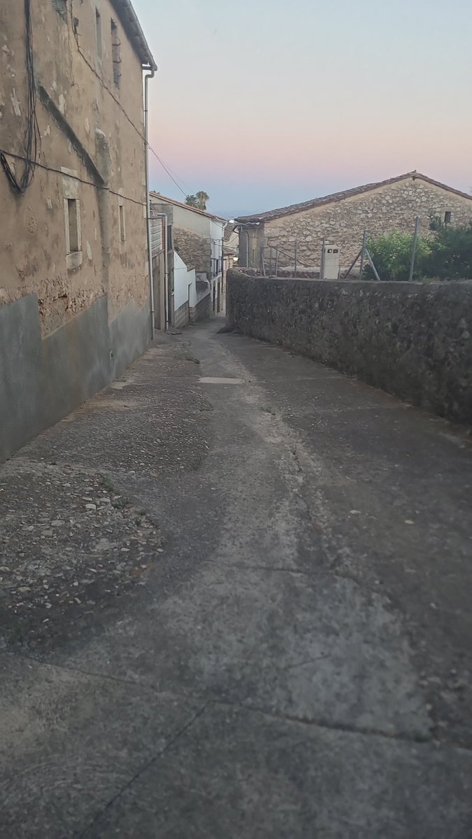 sytoalex's tweet photo. Pues aquí nos hemos venido a recargar pilas. #tejedadetietar, #valledeljerte https://t.co/HkeX87Hh85