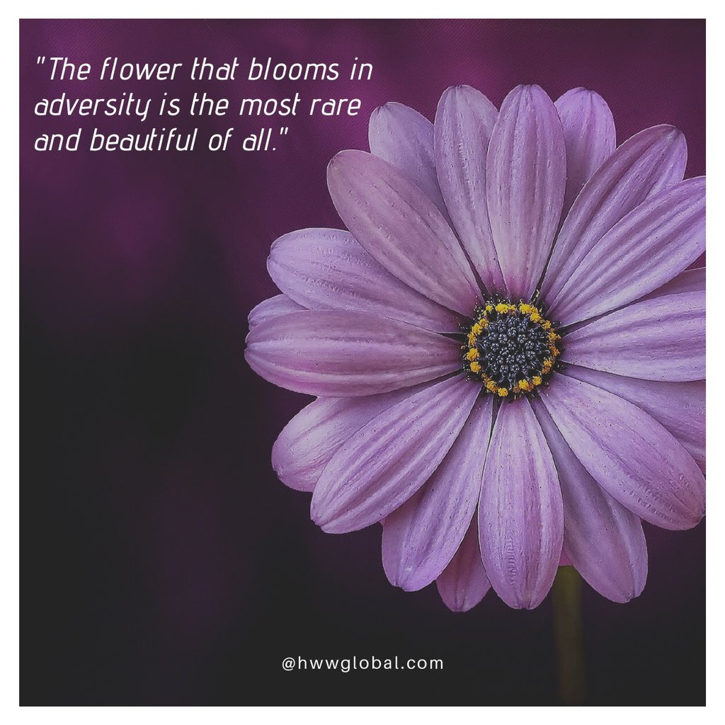 hwwglobal's tweet photo. @hwwglobal #MentalHealthMatters https://t.co/dU7EzjicXG