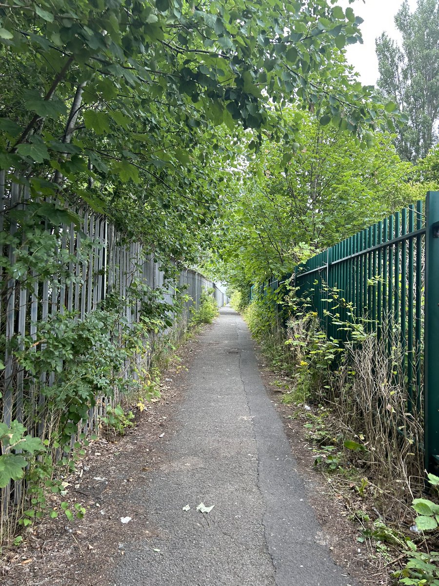 NickyJones74's tweet photo. @seftoncouncil this is the  well used path between Switch Island Leisure Park and Edward Jenner Ave.  It’s overgrown with weeds and nettles and is rather dangerous especially when walking through with children. https://t.co/a0yRuhG30f