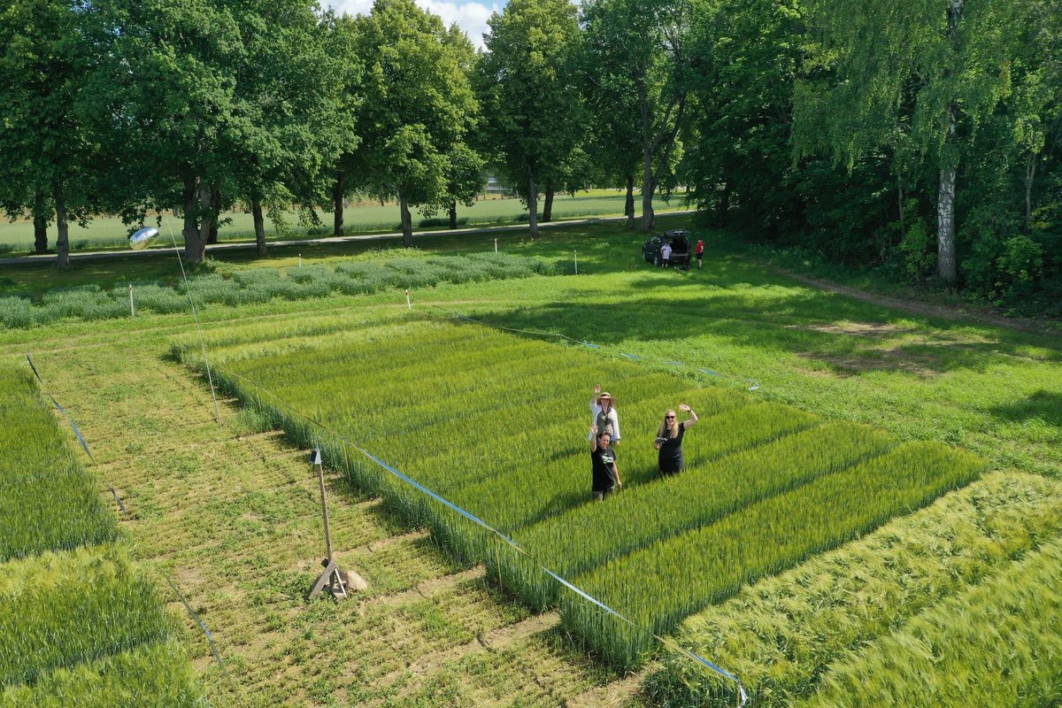 Olethan laittanut kalenteriin jo Hauhon Peltopäivän 28.7.? KM Ruutukisaa esittelevät KM:n toimittajan lisäksi kaikki joukkueet - he kertovat mitä ovat tehneet ja miksi, ja mitä olisi voinut tehdä toisin. 
lantmannenagro.fi/tapahtumat/202…
