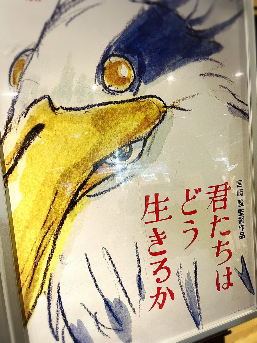 観に来た…🦆