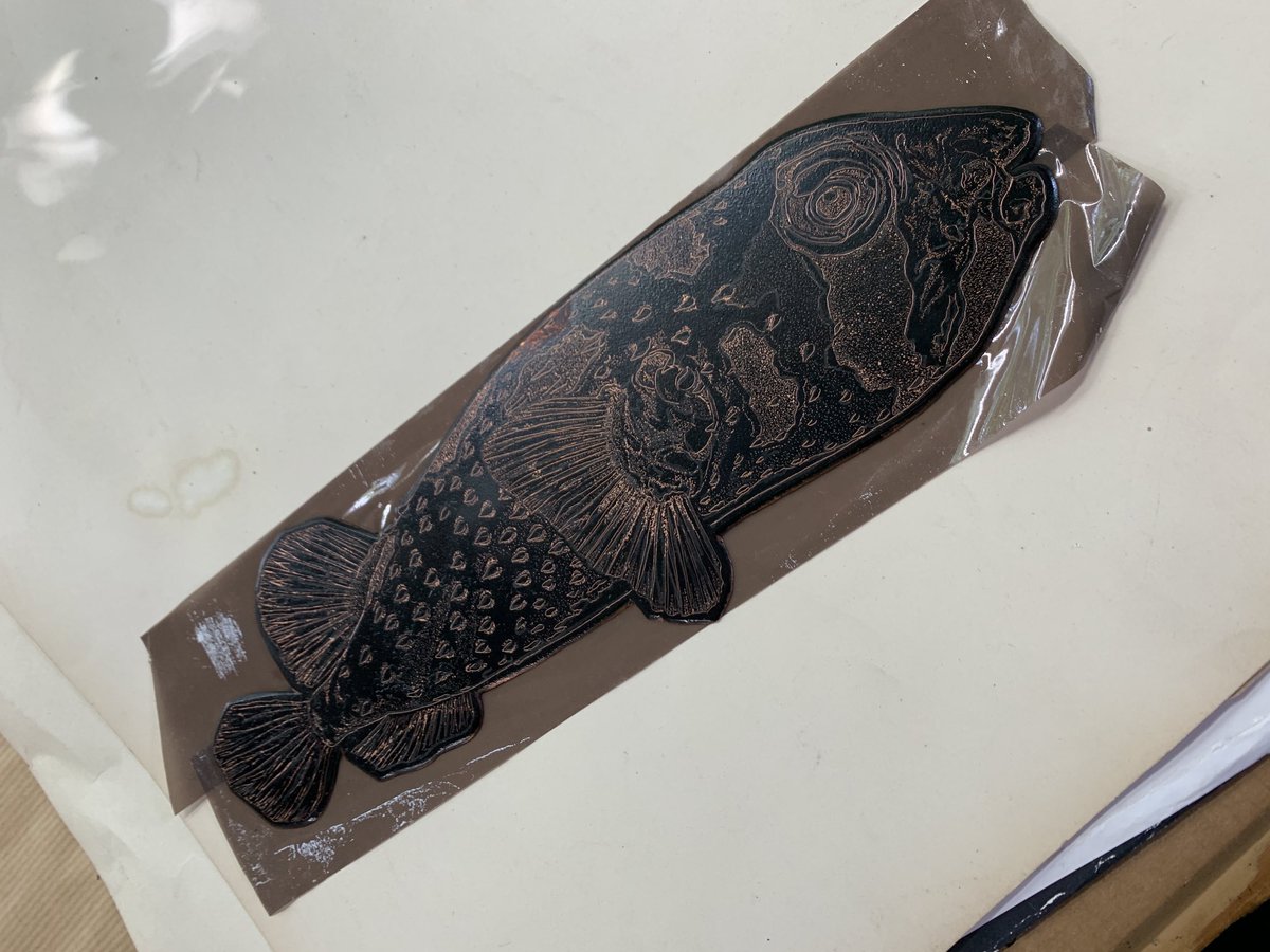 About to etch a new plate- a Black-blotched Porcupine fish. The parcel tape stops the acid biting the back.
#andamansea #printmaker #devonartist