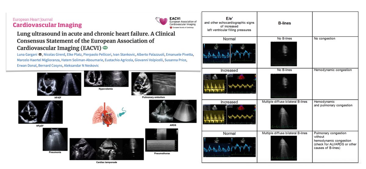 M Velia Antonini tweet media