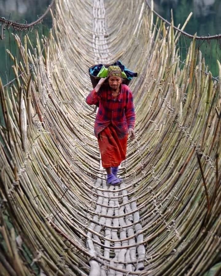 Las mejores enseñanzas de la vida suelen venir de los momentos más duros..