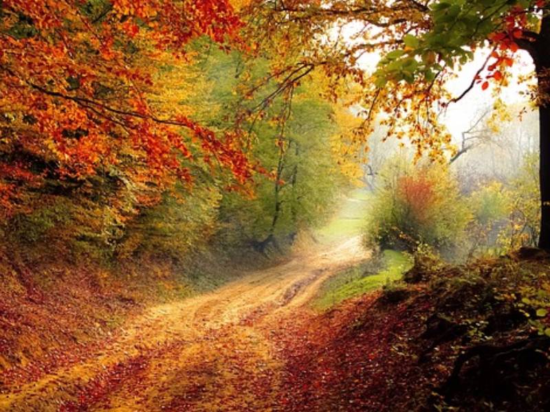 awareness_es's tweet photo. #Inditex invertirá 9 millones para anticiparse a los incendios forestales en #Galicia.
"Busca promover paisajes resilientes, vivos y menos vulnerables, así como la restauración de los territorios afectados por los efectos del fuego.." #RSE  #Sostenibilidad
https://t.co/KfGHVIfDns https://t.co/DWNMEyJWLL