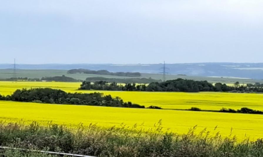 "It's good to have money and the things money can buy, but it's good, too, to check up once in a while that you haven't lost the things money can't buy." ~ George Lorimer.  How much do we need to be happy?  A My Daily Minute about money. conta.cc/3PXMQo2