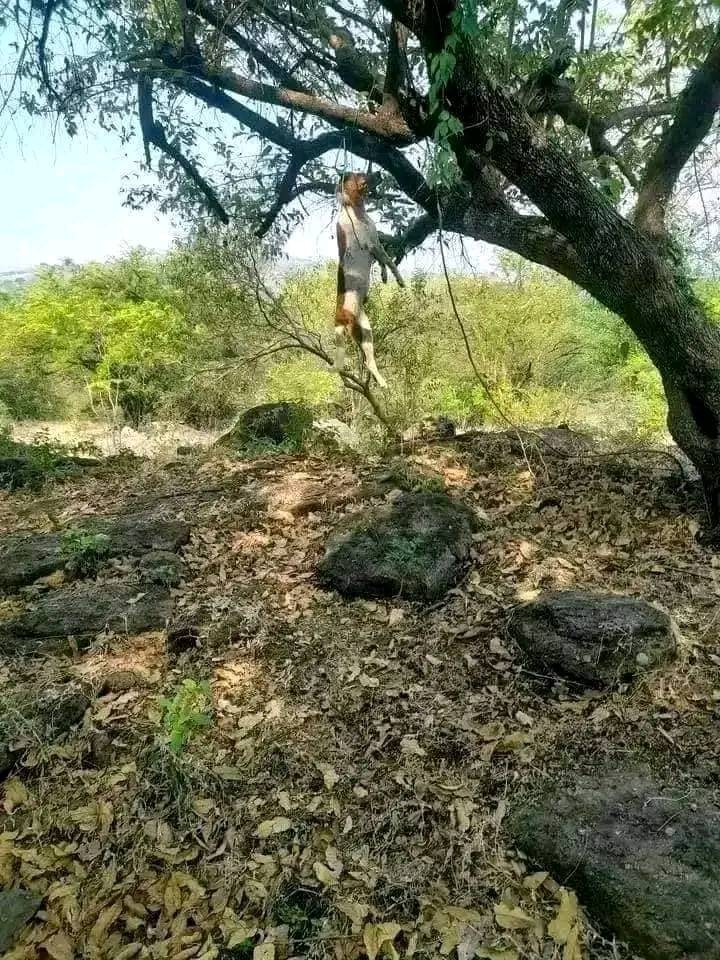 AyeshaA199411's tweet image. – যে চলে যায় সে আর ফিরে আসেনা-
– থাকতে মূল্য দিতে শিখো প্রিয়..!📷📷- মৃ ত্যু র যন্ত্রণা থেকেও.!📷
– মানসিক যন্ত্রণা অনেক বেশী কষ্টদায়ক.!📷

#MotivationalQuotes #TwitterLimits