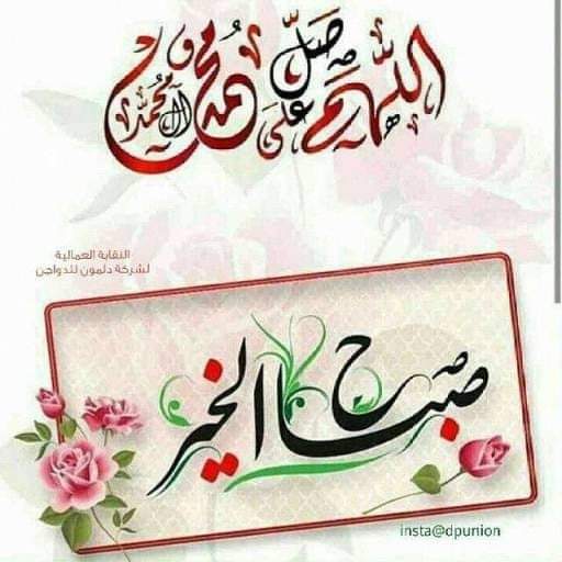 @mhkaltaiy tweet media