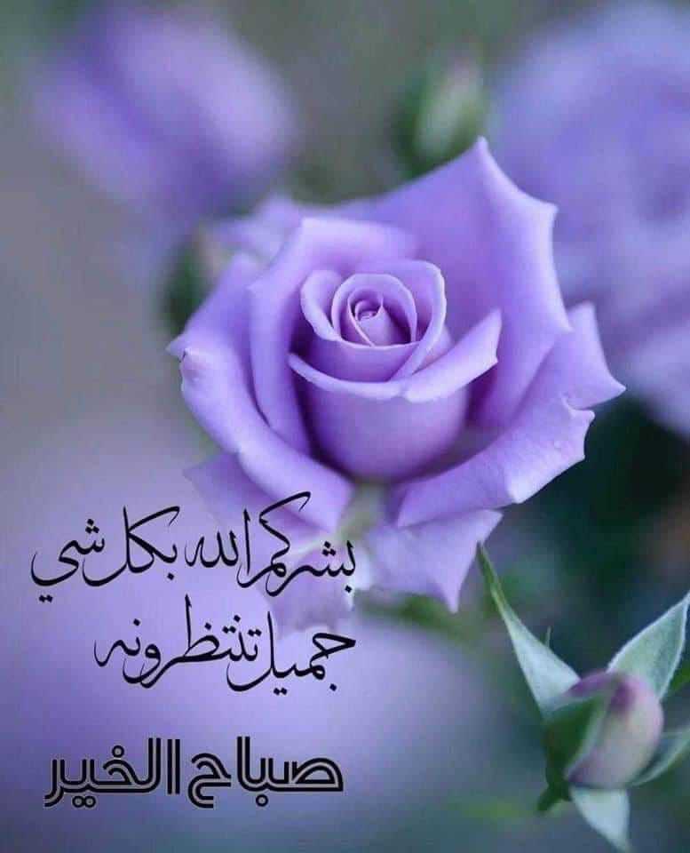 @mhkaltaiy tweet media