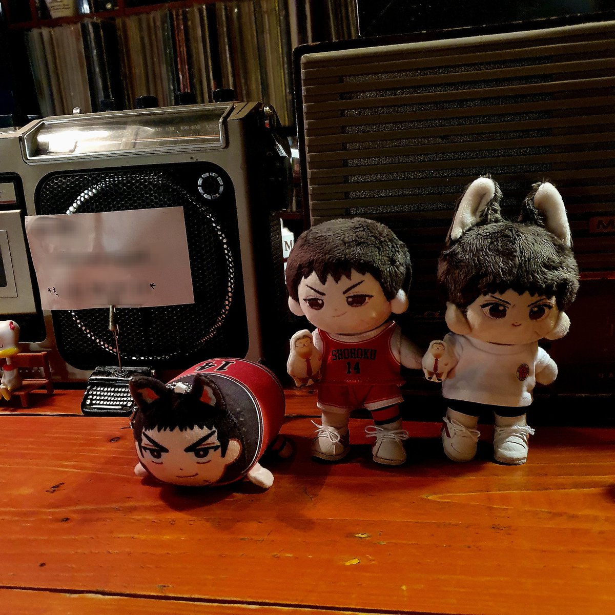 s00m_9's tweet photo. 대구 노르웨이의 숲에서 함께한 (@jeongHAA_ )님과 (@maybunny_)님~ 대만이즈를 찍었는데 셋 다 다른 곳을 보고 있는게 웃픔😇 위치가 더 좋았다면 잘 찍을 수 있었을텐데 까비~~ https://t.co/BxY4ik9tJG
