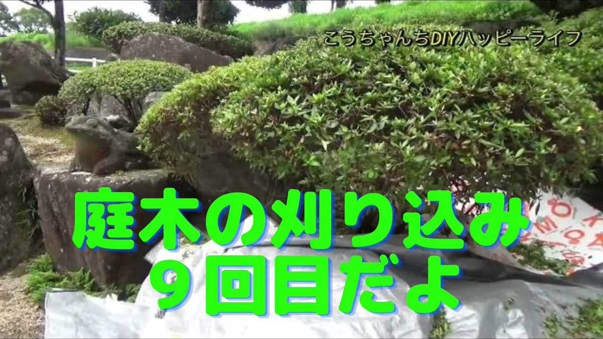 koujin22's tweet photo. 本日、��で庭木の刈り込み作業を開始してから９回目になります。毎日毎日よくここまで頑張ってきました。2023/7/15 https://t.co/ehgJzeGhdK @YouTubeより https://t.co/Qm9eest7v9