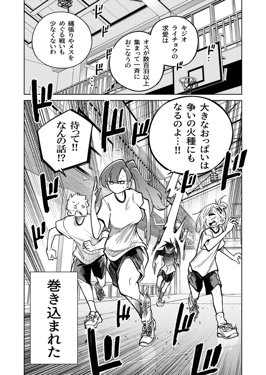 (2/2) 