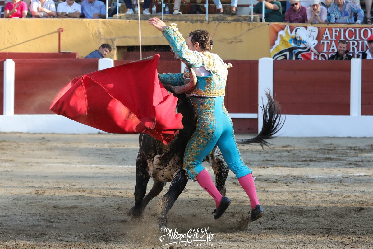🏥 ÚLTIMA HORA.

RAFAELILLO: CORNADA DE 15 CENTIMETROS CON 3 TRAYECTORIAS

Ha sido  intervenido primera hora de este sábado, tras un viaje de más de 7 horas desde Ceret. 

Una cornada de 15 centímetros con 3 trayectorias. Limpia. El pitón quedó a 3 mm de succionar arterias.

1/2