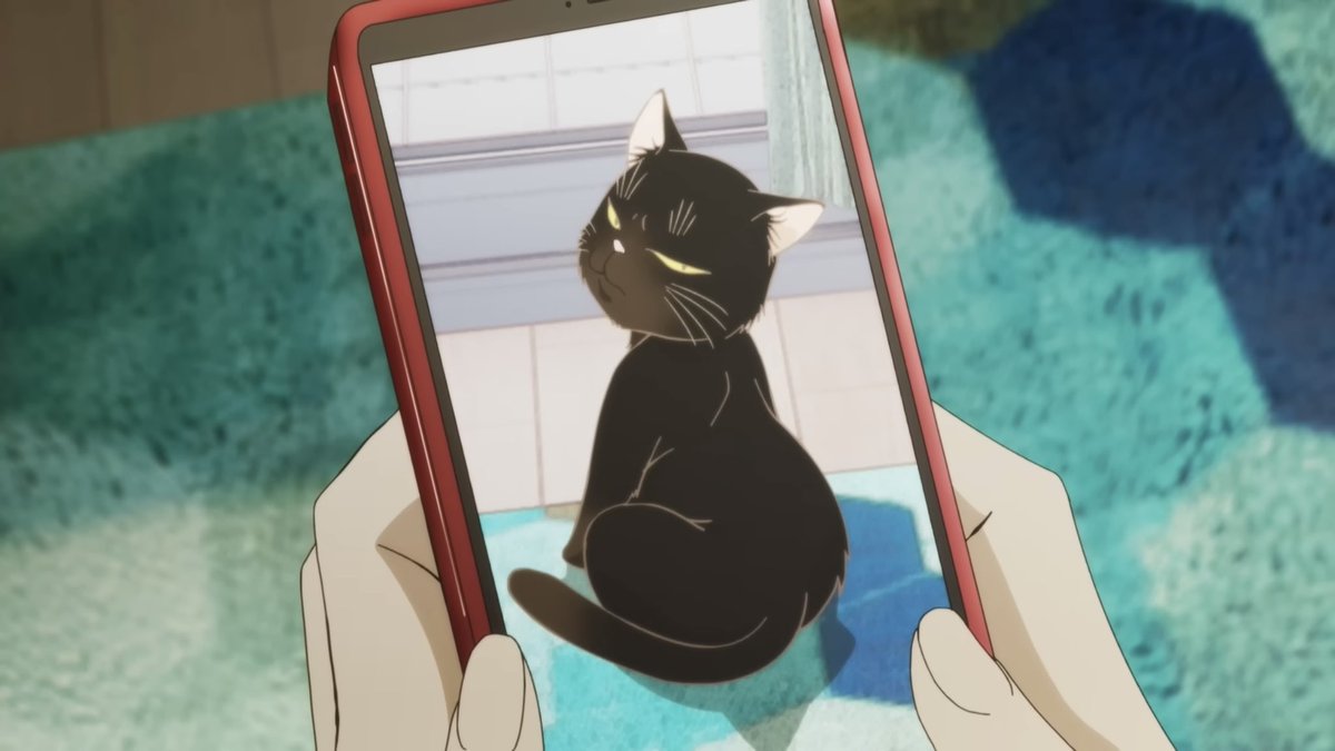 ‎ً ⊹ เบ๊บ𓂃꙳⋆ tweet media