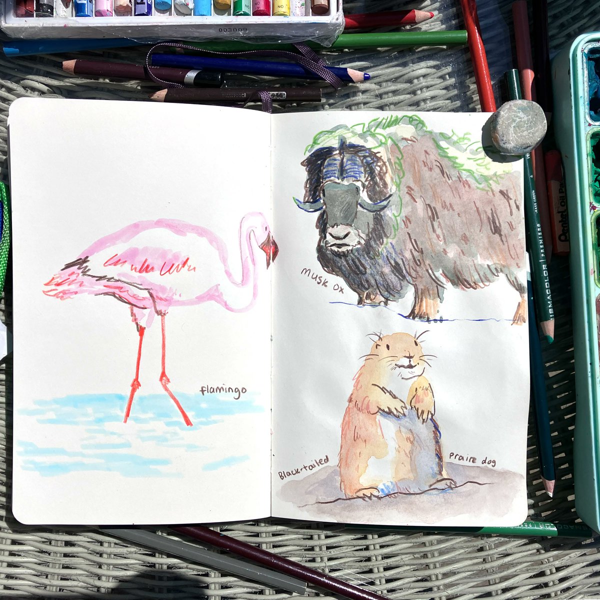 NikitaLeannee's tweet photo. Day 13/26 - Halfway through #drawingeverydayjuly !! 🐒 

I'm so proud of this outcome honestly. I drew the ugliest thing I've created in a long time just before drawing the monkies, which are now one of my favourite things from this month so far! 

#animalillustration #kidslit https://t.co/TUnU3acYmY