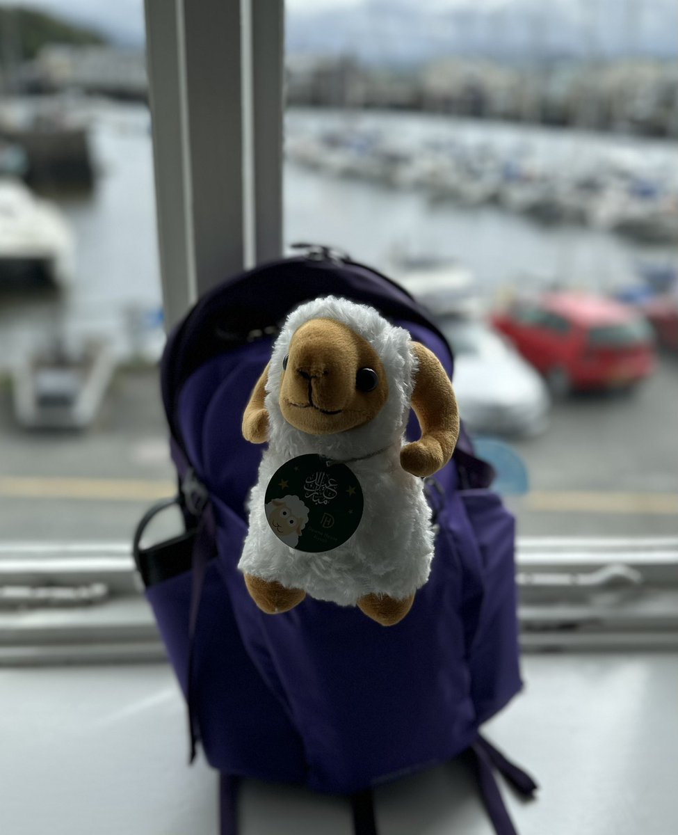 Adele O'Doherty tweet media