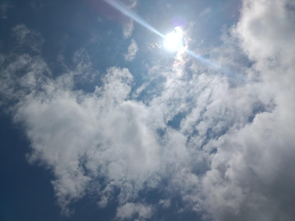 BaharKefelioglu's tweet photo. Orda bir ışık var.... https://t.co/bcyOtuf0tZ