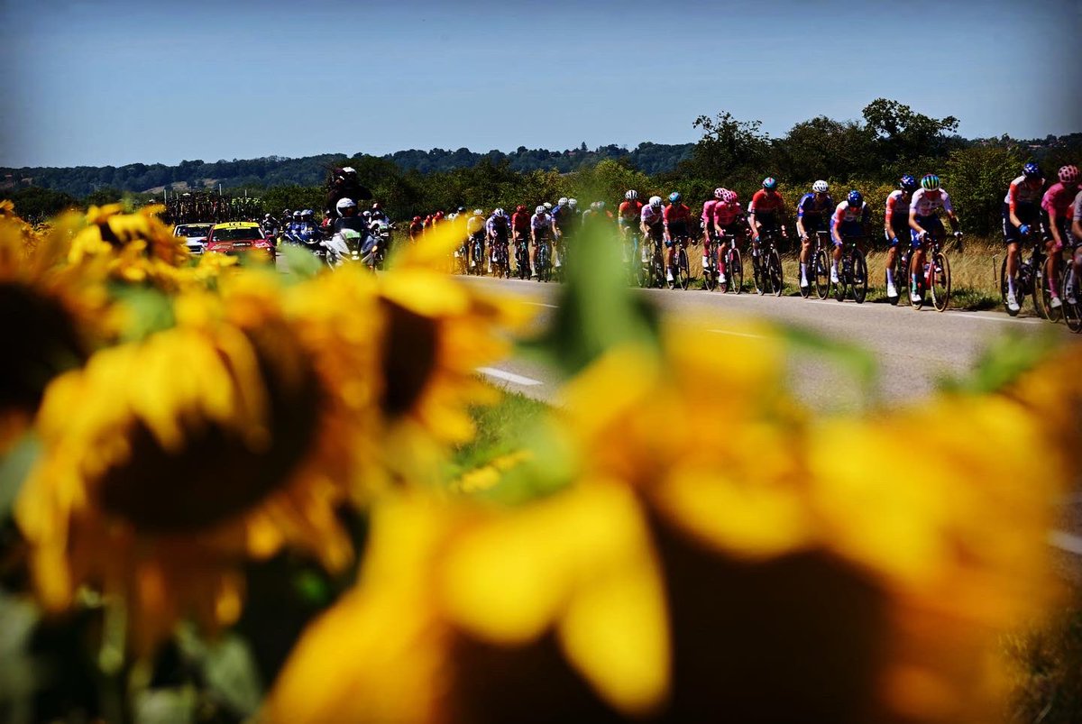 pgoding's tweet photo. Yesterday’s stage of #TDF2023 #GrandColombier  with outstanding views overlooking the Rhône river.. https://t.co/KGUvCMRROo