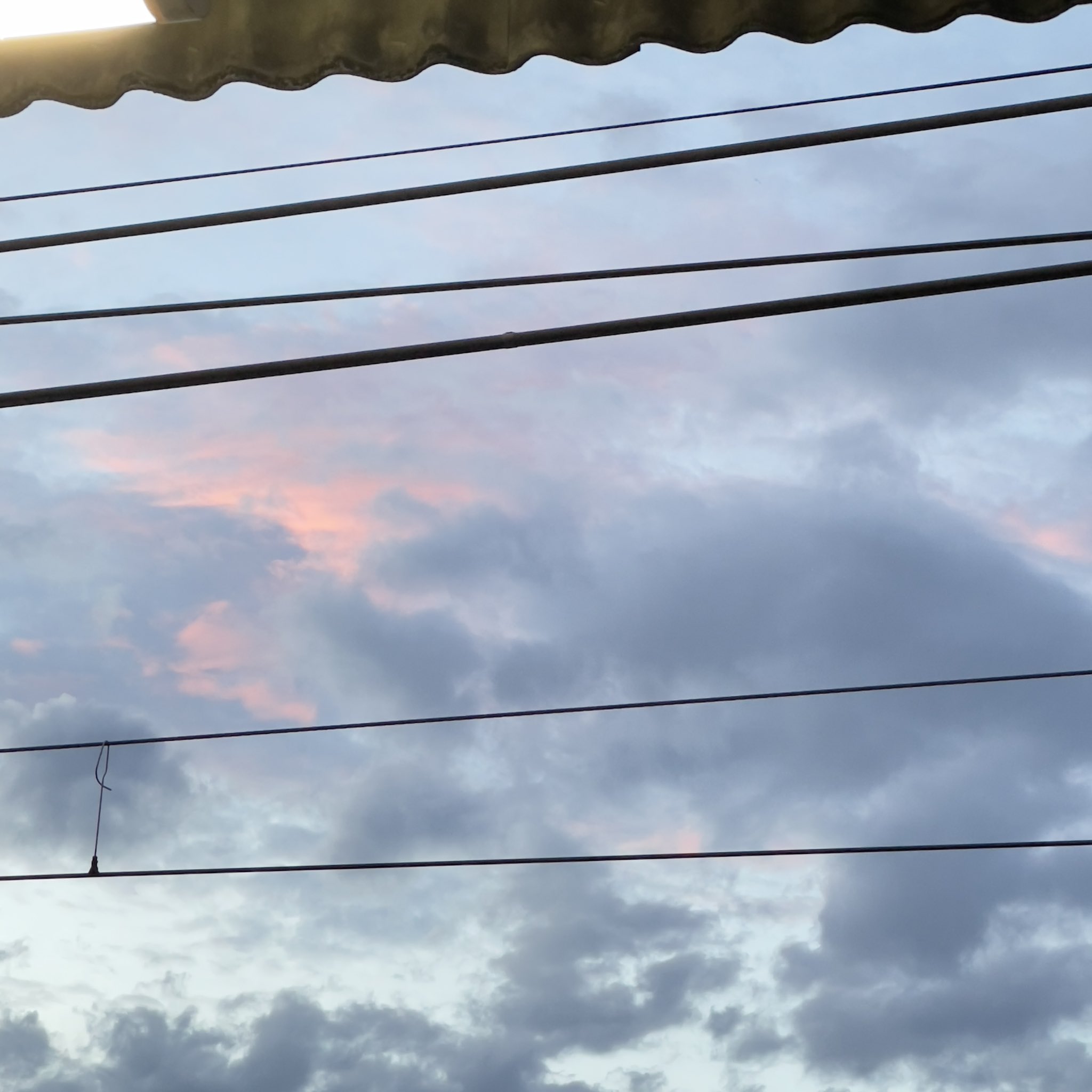 専門店では トンちゃん様のオーダー作品になります。 その他