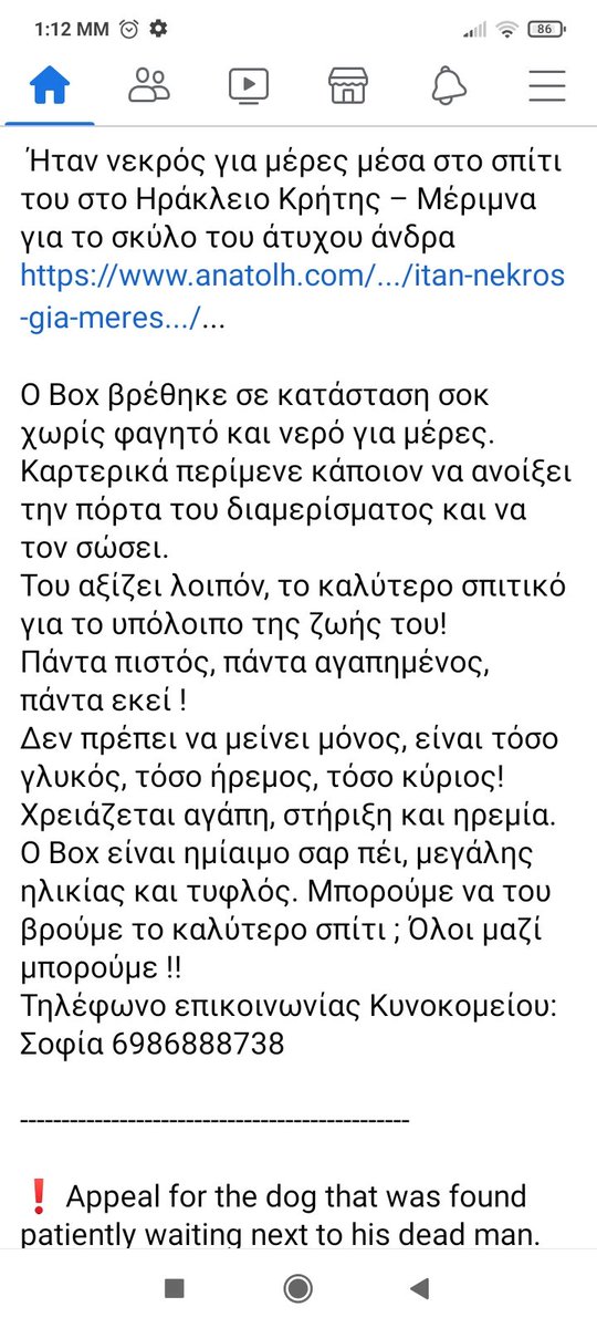 Maraki291's tweet photo. Πέθανε ο ιδιοκτήτης του, τον βρήκαν μετα απο μέρες νεκρό. Ο σκύλακος ηταν δίπλα του χωρίς νερό &amp;φαγητό😿. Ειναι παππουλης &amp;τυφλός😿. Ζητούν υιοθεσία για το παππουδακι που είναι τώρα στο κυνοκομειο Ηράκλειου Κρήτης. Ποστ απο ΠΦΠΟ. παρακαλώ ένα rt για τον γερακο να βρει υιοθεσία. https://t.co/Uil5FO11Fx
