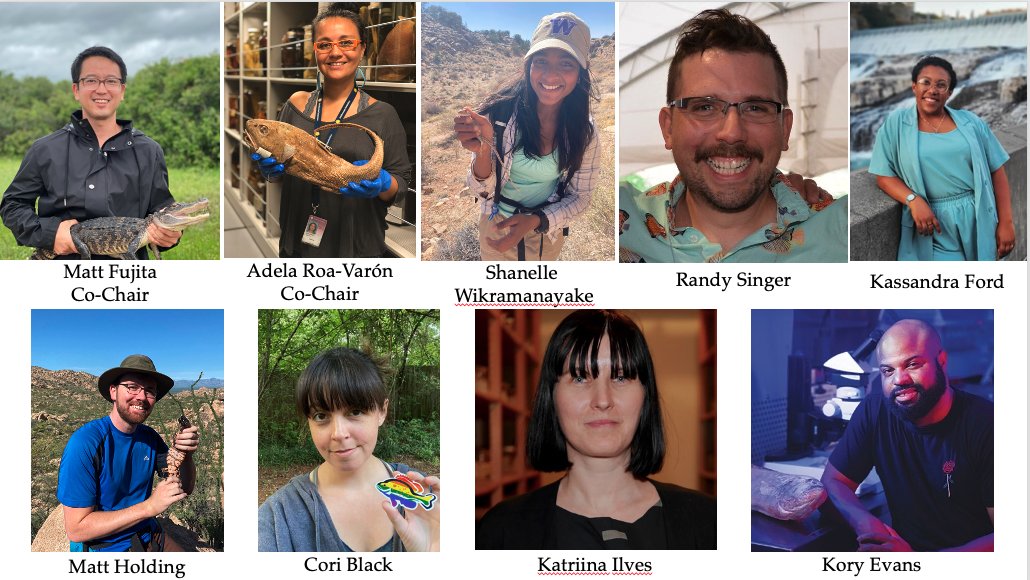 ASIH-DEIB (@asih_deib) on Twitter photo How I could forget <a href="/Randchovy/">Randy Singer, PhD/ใฉใณใใฃใปใทใณใฌใผ</a> one of our newest superstars members?!?!?! ๐ ๐ฆ๐๐ธ๐ก๐๐ฆ How I could forget <a href="/Randchovy/">Randy Singer, PhD/ใฉใณใใฃใปใทใณใฌใผ</a> one of our newest superstars members?!?!?! ๐ ๐ฆ๐๐ธ๐ก๐๐ฆ