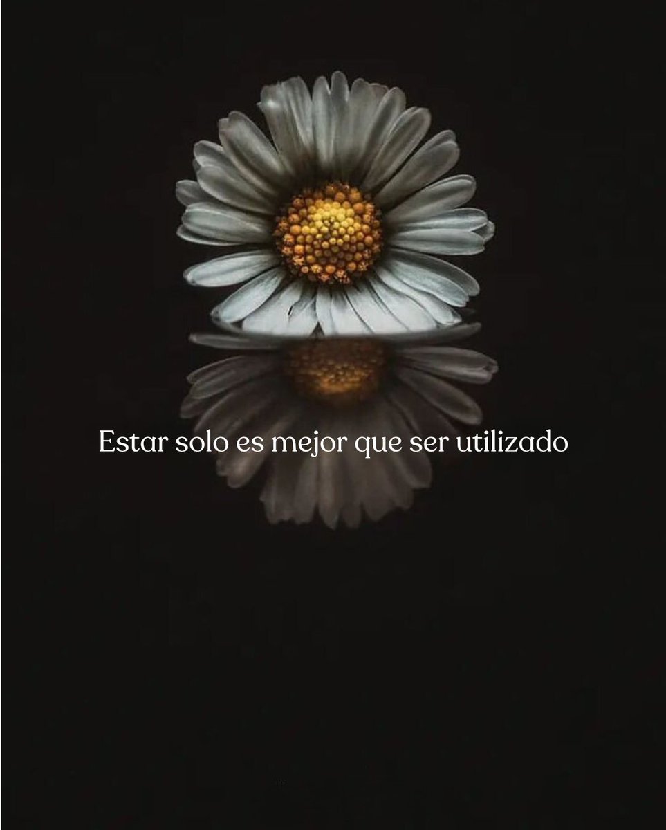 RayanOFMAI's tweet photo. 15 Verdades Duras de la Psicología y la Vida:

1. https://t.co/i80aQklIEl