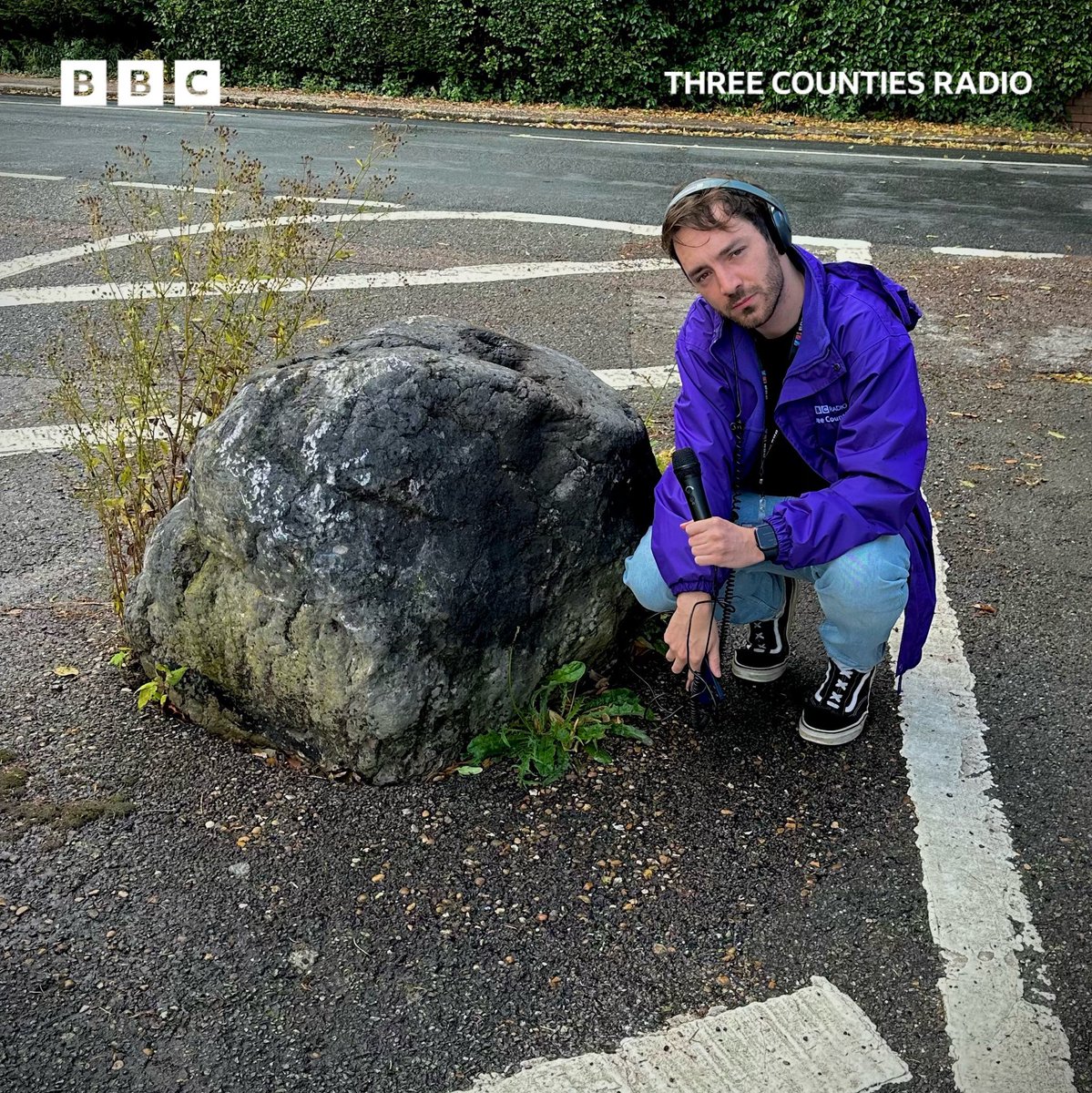 Treasure Quest tweet media