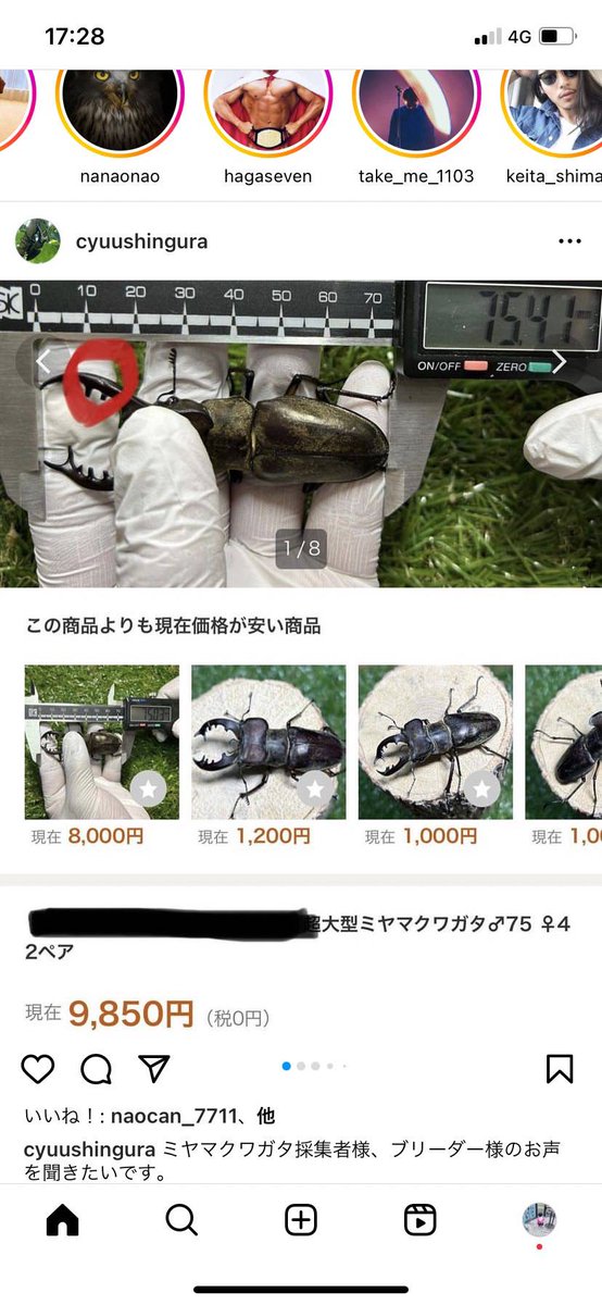 スーパ採集ガイド ⑤北海道東北部編 スーパ採集ガイド ⑤北海道東北部編 スーパ採集ガイド ⑤北海道
