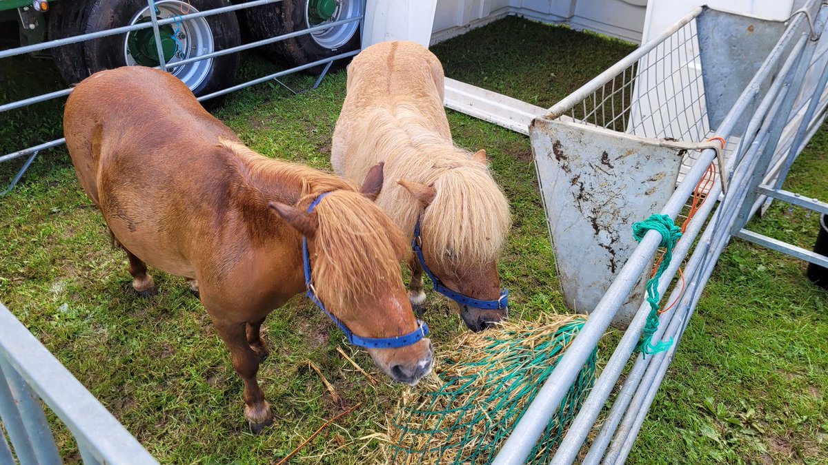 Stone Food and Drink Festival tweet media