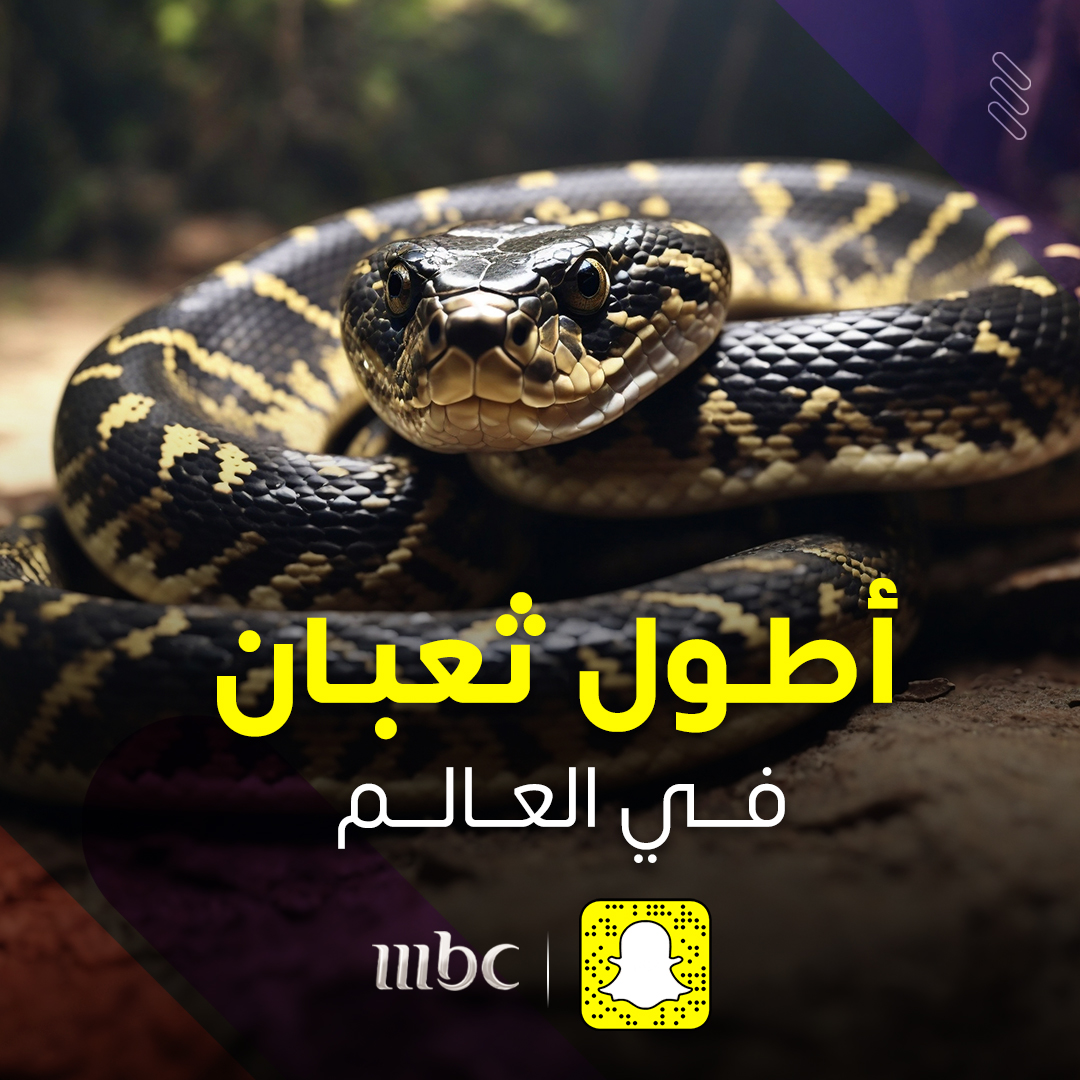 فيديو: شاب يصطاد بيديه أطول ثعبان في العالم طوله 6 أمتار

للمشاهدة اضغط هنا 👇

onmbc.net/6011POF7d

#MBC1