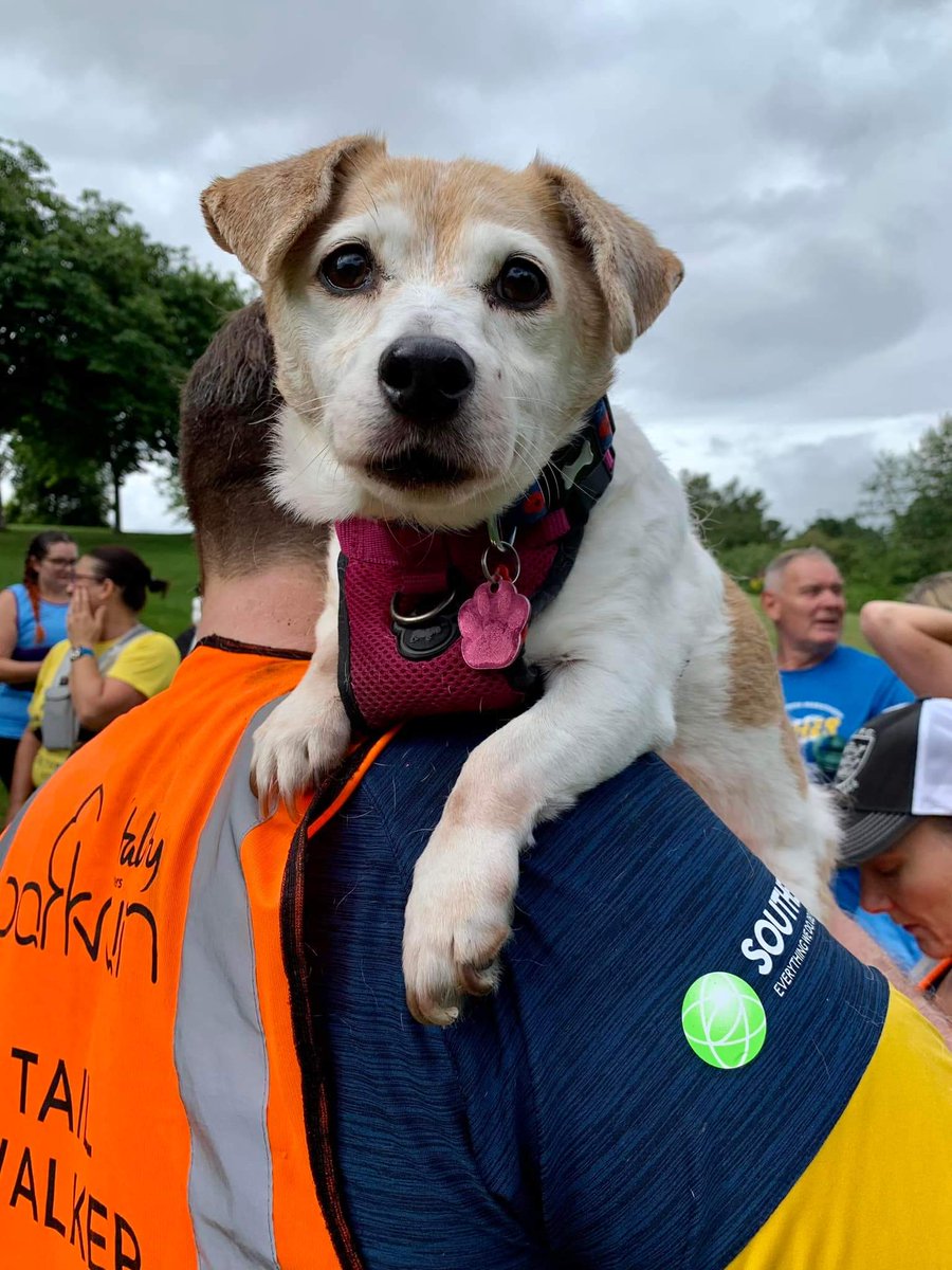 Karen Horton tweet media