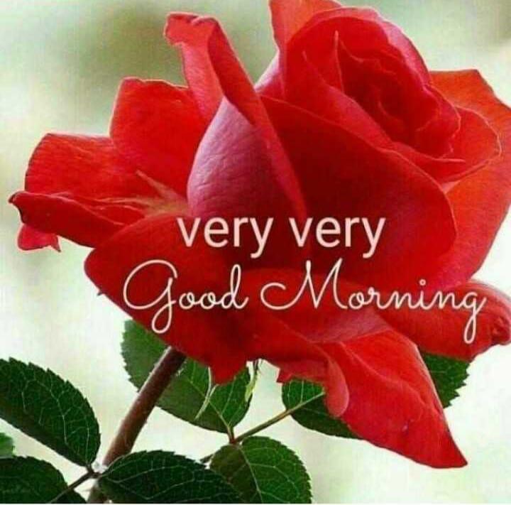 CPSingh50's tweet image. 