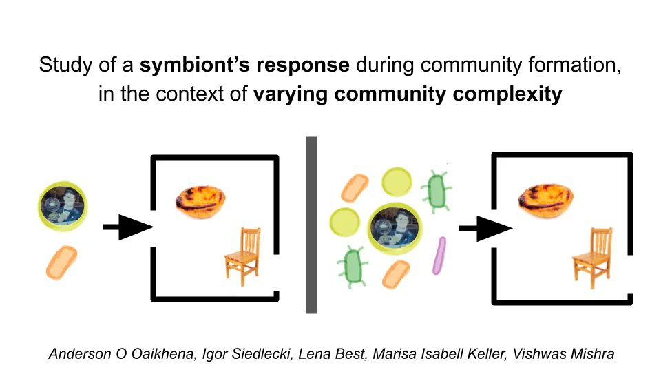 SiedleckiIgor's tweet photo. Wohooo! Students' Choice for The Best Group Project at @SymbNET PhD Summer School!
With one of introductory slides #pasteis
Together with Lena Best, @MaelscherMarisa , Vishwas Mishra, Anderson O Oaikhena and @KarinaXavierLab ! https://t.co/5w9n3wFcbC