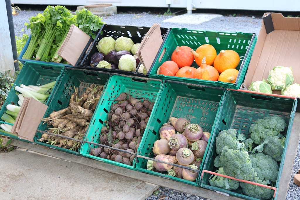 Irish Organic Association (@irishorganica) on Twitter photo Kenneth from <a href="/greenearthorgan/">Green Earth Organics</a> in Co. Galway speaks to Organic Matters Podcast this week about taking over the family farm 18 years ago and how they now operate a national online box delivery business! Listen here 👉️bit.ly/44rdTfF
#organic #local #irishvegetables Kenneth from <a href="/greenearthorgan/">Green Earth Organics</a> in Co. Galway speaks to Organic Matters Podcast this week about taking over the family farm 18 years ago and how they now operate a national online box delivery business! Listen here 👉️bit.ly/44rdTfF
#organic #local #irishvegetables