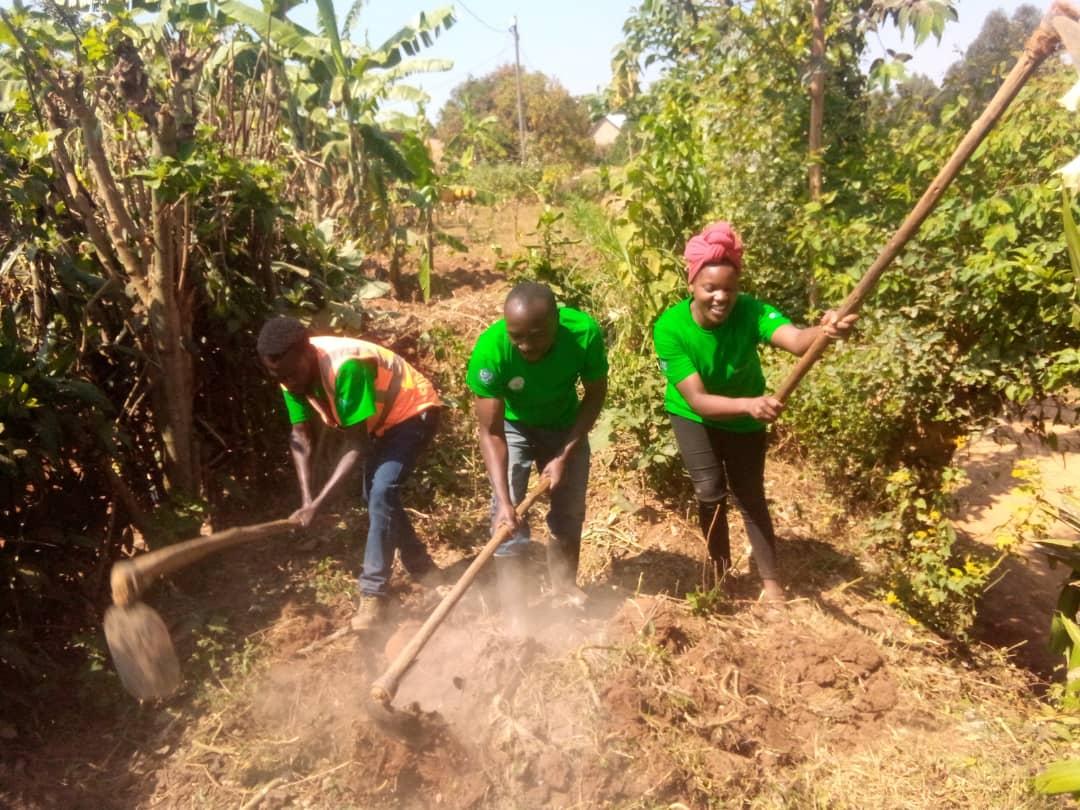 GicumbiN's tweet photo. Abagera kuri 93 nibo biyemeje kwinjira Mu muryango w'abakorerabushake ni Mu muganda wahuje Urubyiruko rwa @GicumbiDistrict
#Shangashasector wakozwe bubakira umuturage ubwiherero ,n'umurima w'imboga. witwa SEKIMONDO THEONESTE https://t.co/4GtEeVFuLo