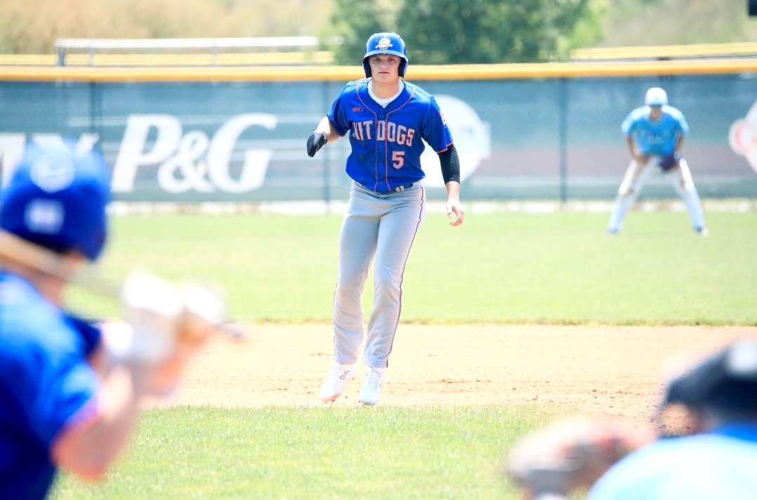 Hit Dogs - OH tweet media