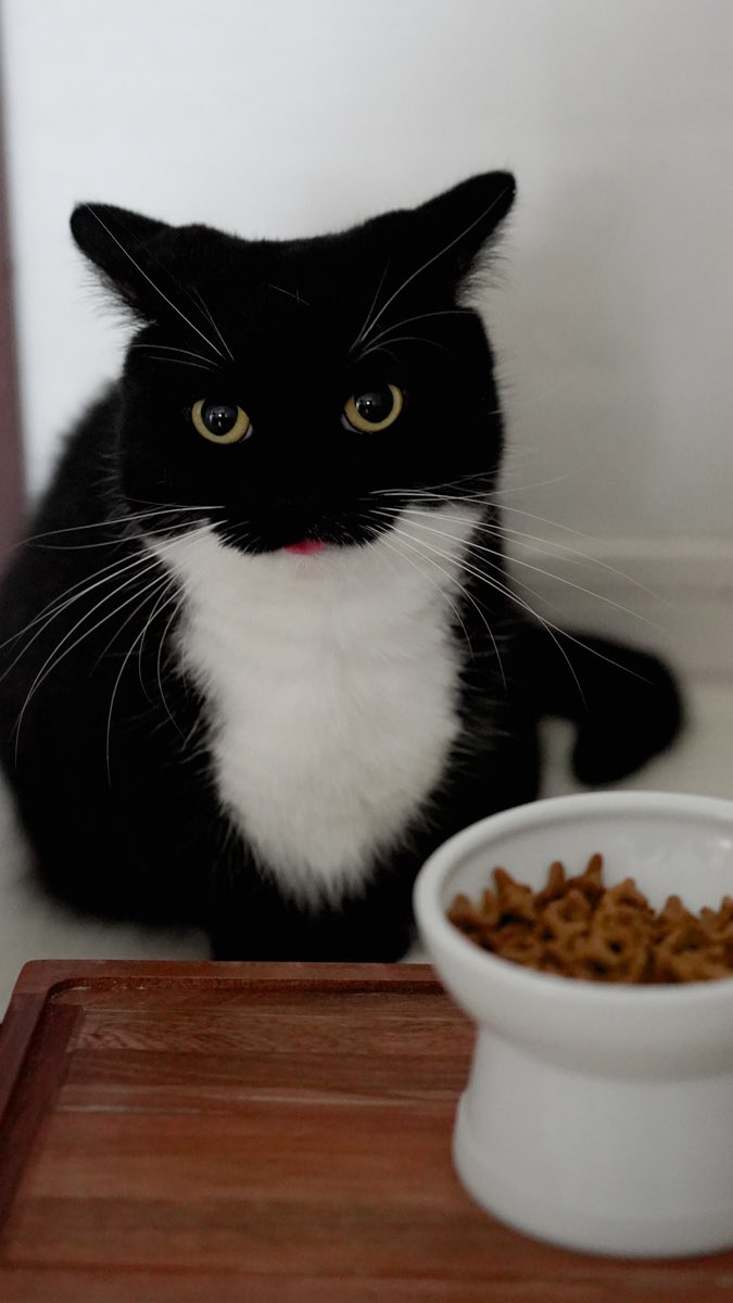 わーい！いただきます！

Yay! Let's eat! :3