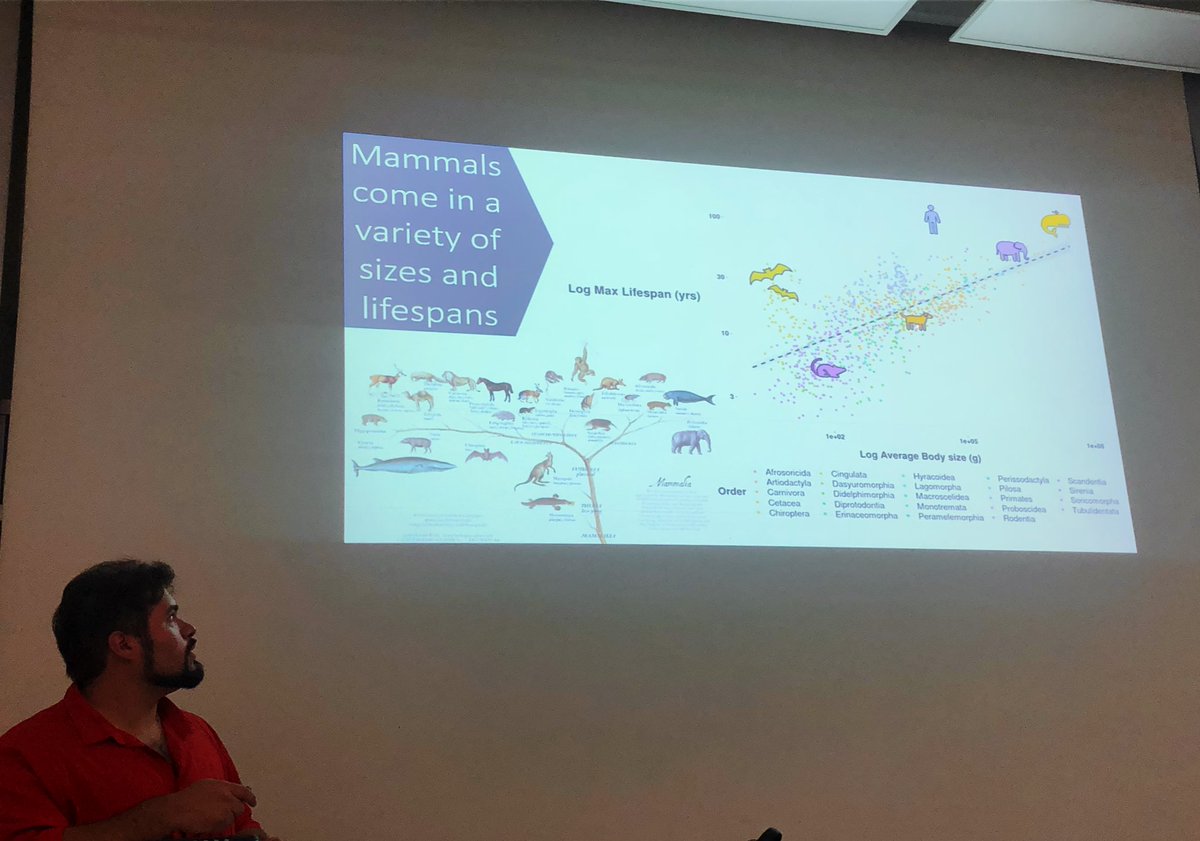 Glad @GenaSandoval16 & @TheMainManManny are visiting our lab 🦇🧬🦠. Fantastic seminars & discussions #superScientists (+fun outings!). Great to share time together beyond our regular zooms. Awesome collaboration with @DavidEnard & @psudmant labs 😊 #CNRSinternational