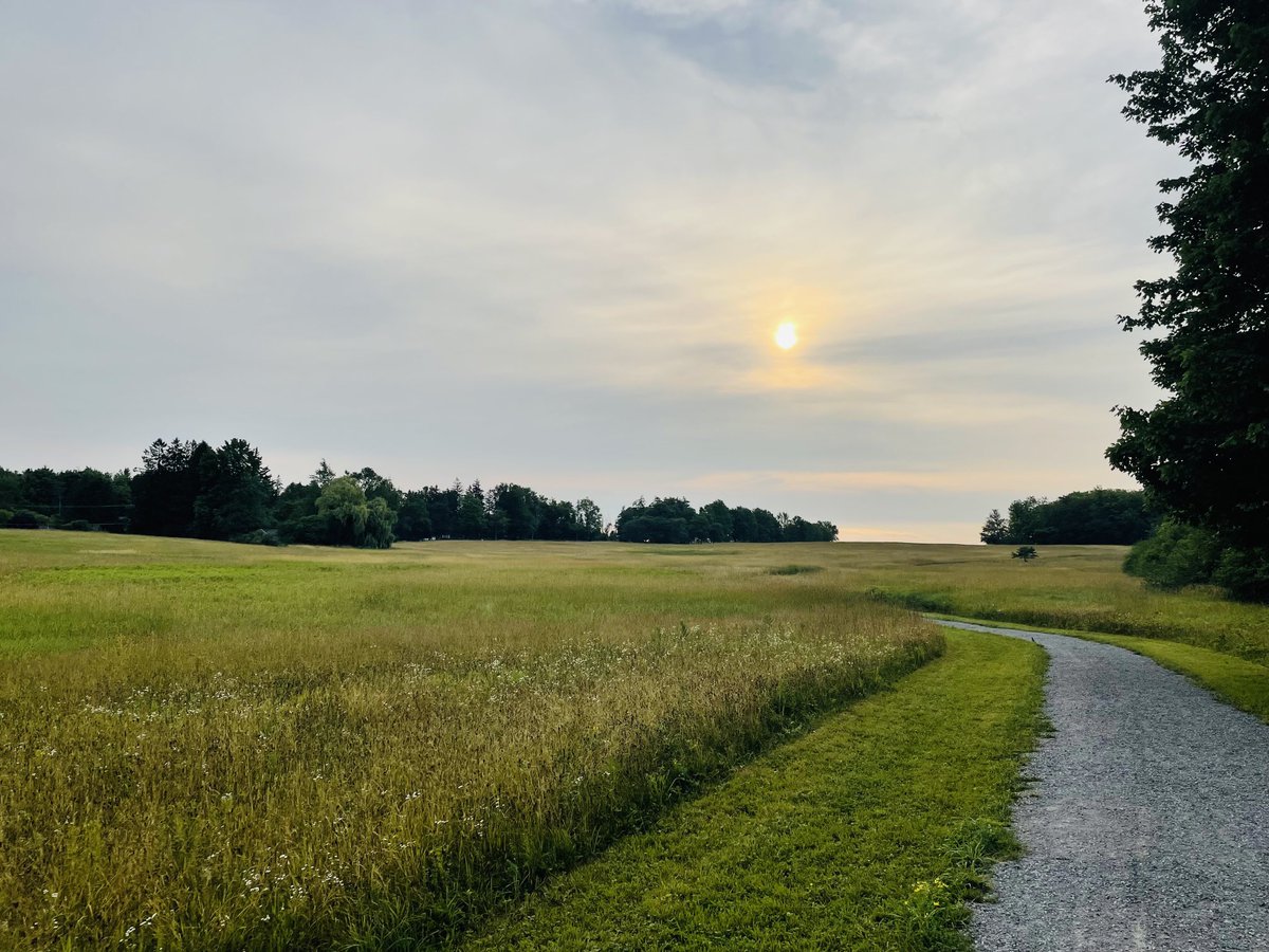 David Kinkela tweet media