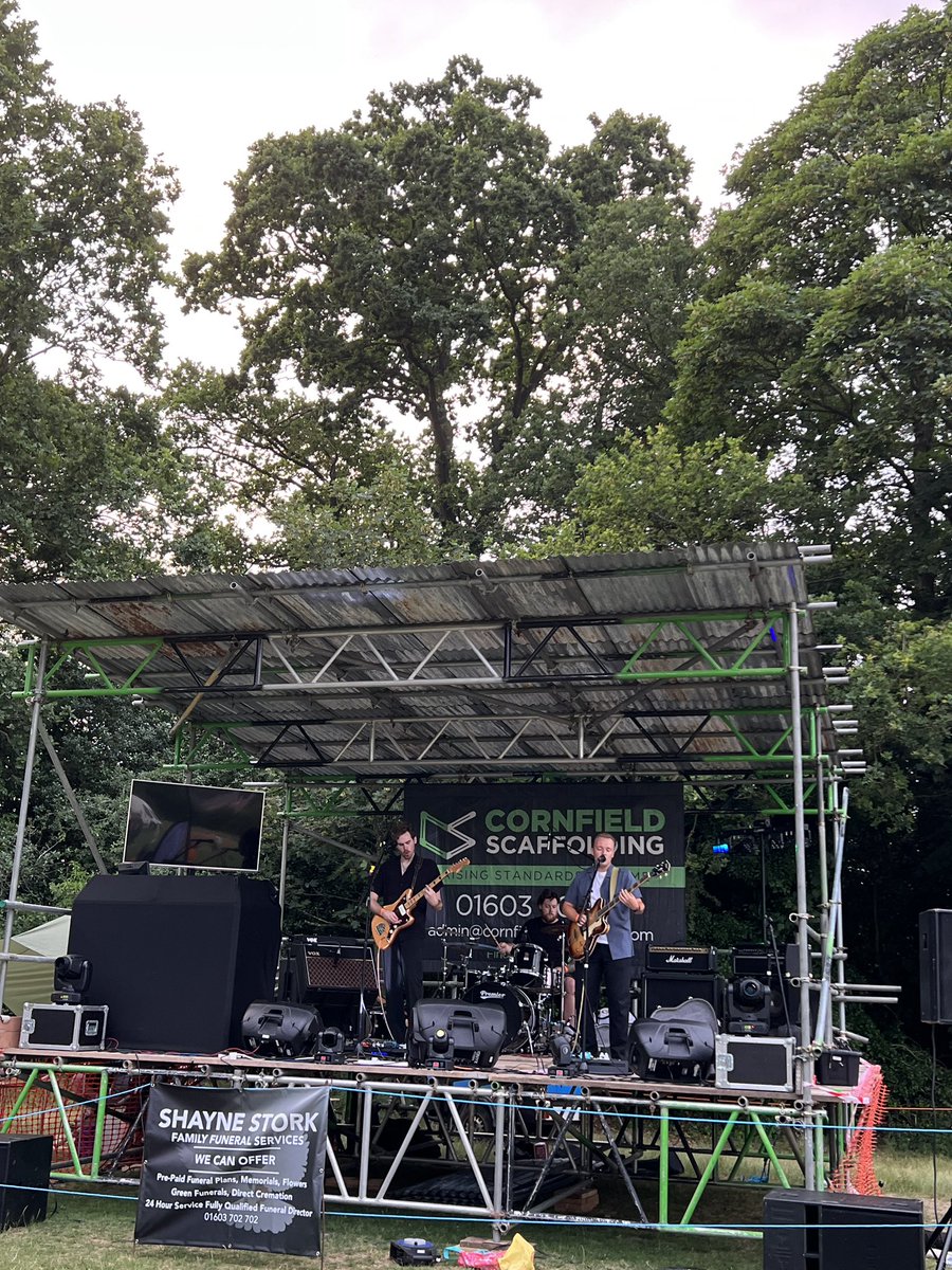 whylizardwhy? tweet media