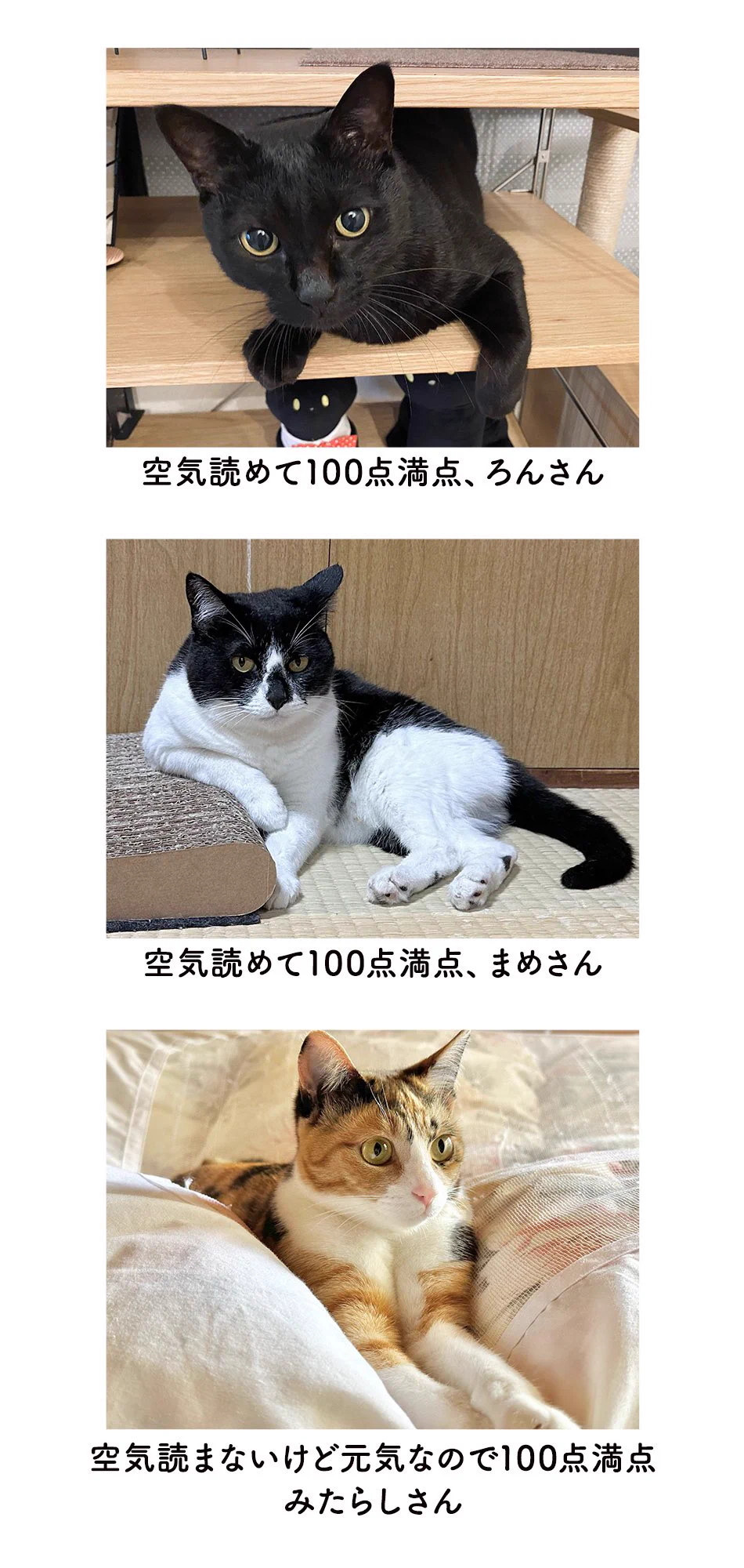 AKR🌱⑧巻発売中 on X: 