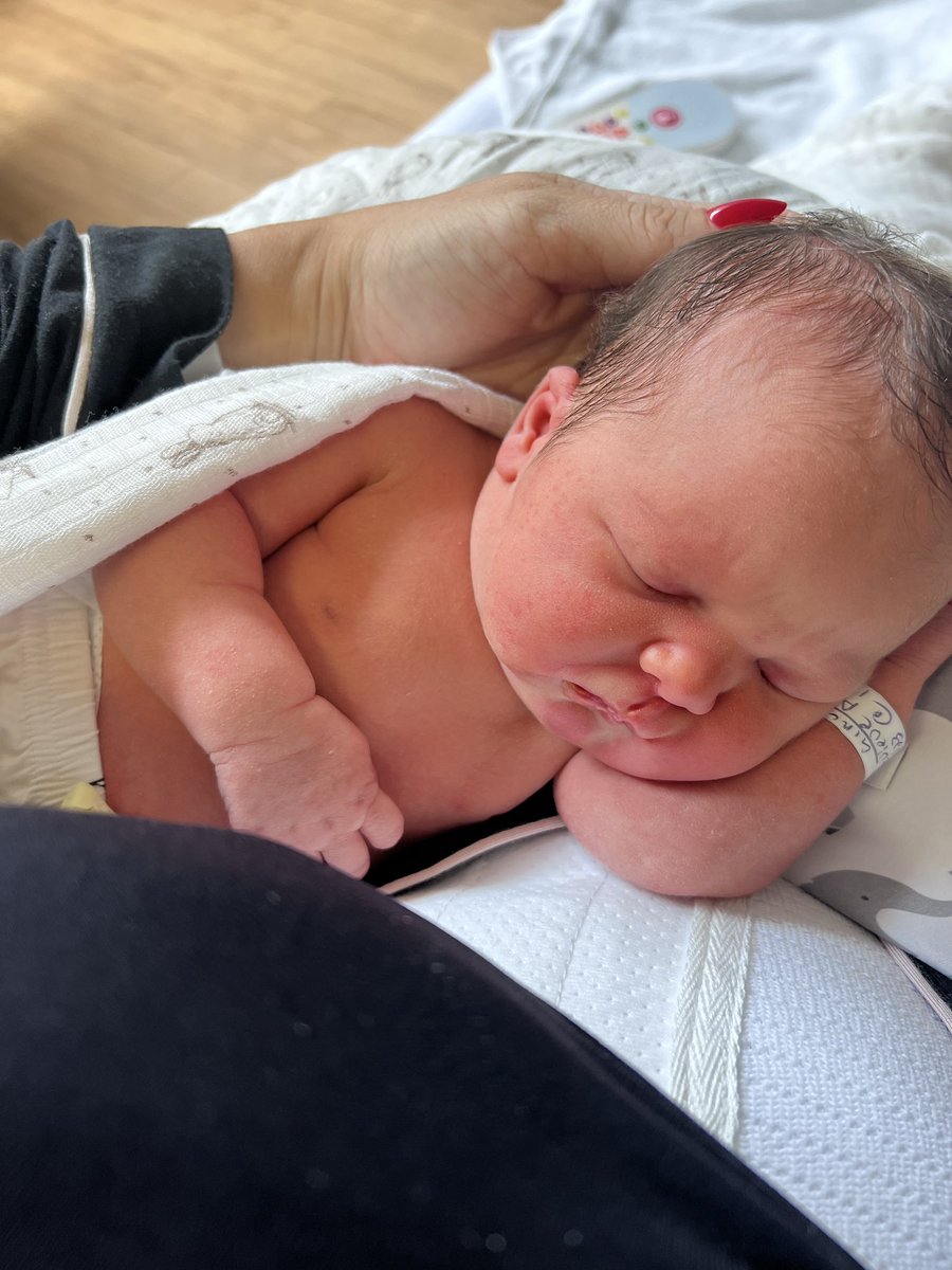 Craig Albernaz tweet media