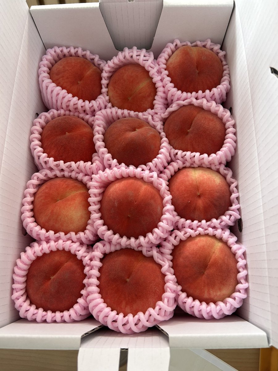 YukieMarusei's tweet image. ３連休は桃祭り🍑
プレゼント企画開催します❗

暁星　小玉　約1.8キロを
３名様にプレゼント！

応募方法
@YukieMarusei をフォロー&amp;amp;RT

締め切り
7月17日(月)まで

食べ直でも1500円で販売させていただいておりますのでご興味があればよろしくお願い致します🐕️

メルカリも出品してます❗