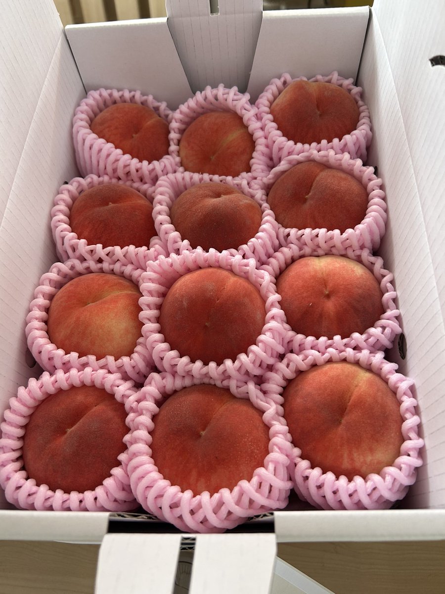 YukieMarusei's tweet image. ３連休は桃祭り🍑
プレゼント企画開催します❗

暁星　小玉　約1.8キロを
３名様にプレゼント！

応募方法
@YukieMarusei をフォロー&amp;amp;RT

締め切り
7月17日(月)まで

食べ直でも1500円で販売させていただいておりますのでご興味があればよろしくお願い致します🐕️

メルカリも出品してます❗