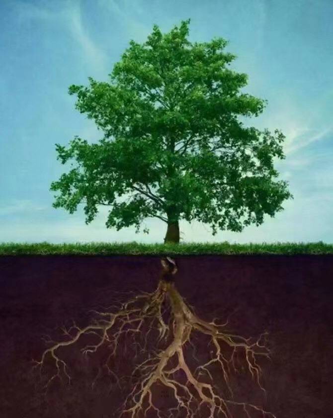 yipinshuzi2023's tweet photo. The day when it took root-no one saw it
The days of breaking the earth-amazing
How much you give, how much you get.
How hard did you work today?
How brilliant it will be tomorrow!
Welcome to Data Gold, we will work together to create brilliance!

#btc #Web3 #Engcion  #Filecion https://t.co/FxRpB0sd6n