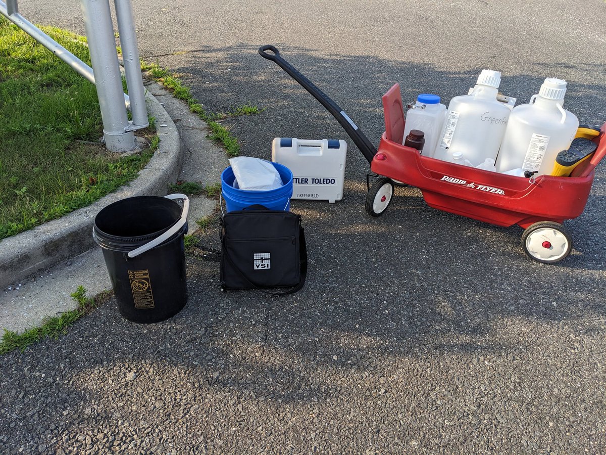 Dianne Greenfield tweet media