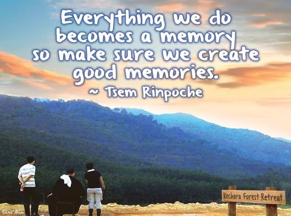It’s our choice to have the result we want

#memory #happiness #realisation #choice #tsemrinpoche