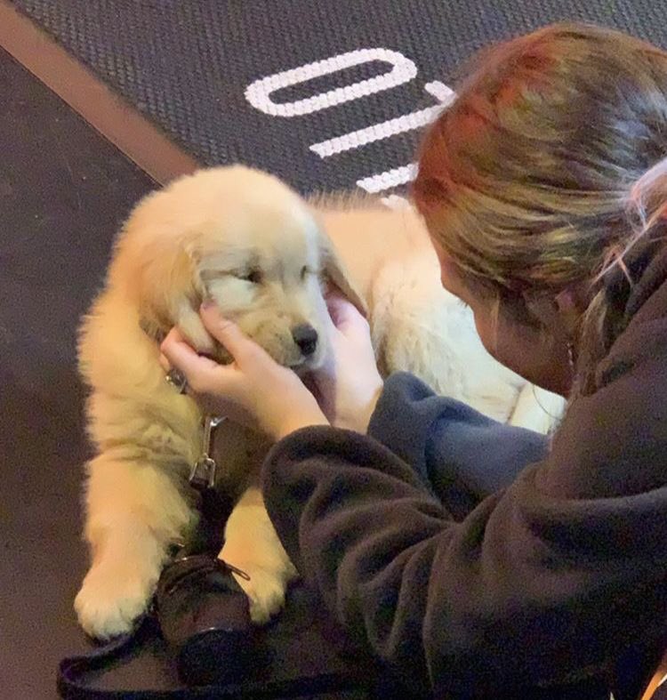 𝐞𝐦𝐨𝐭𝐢𝐨𝐧𝐚𝐥 𝐨𝐫𝐚𝐧𝐠𝐞 (@wendywarmheart_) on Twitter photo 