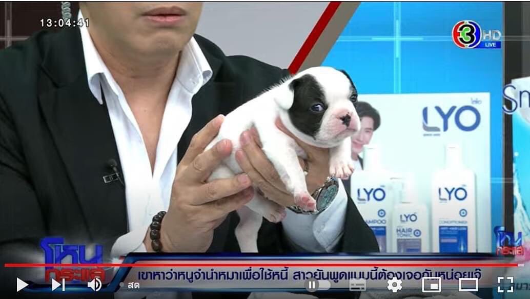 cachorrocore's tweet photo. https://t.co/oq94Mp6bXW